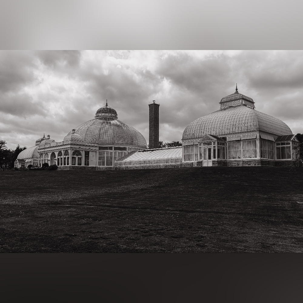 Timeless Tranquility: Black and White Botanical Gardens Photograph